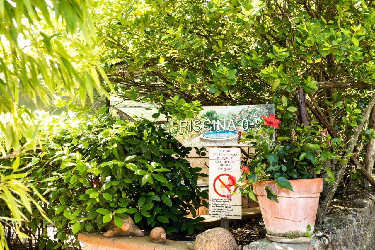 加沃拉诺Casa Conti Di Sotto别墅 外观 照片