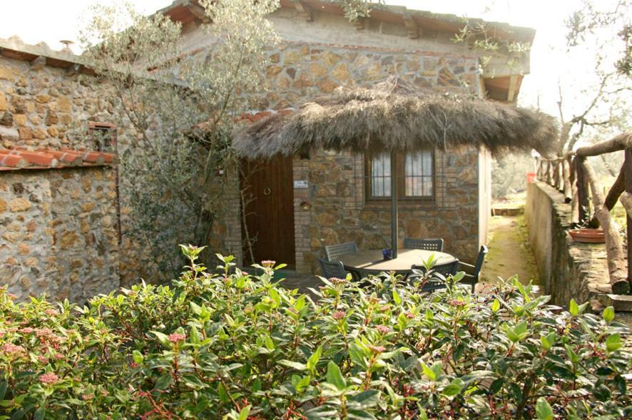 加沃拉诺Casa Conti Di Sotto别墅 外观 照片